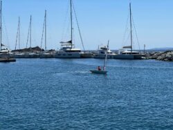 Demi National ILCA – St Raphael – du 24 au 26 avril