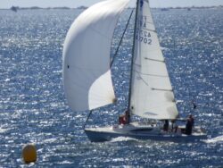 Weekend régates habitables les 19 et 20 septembre